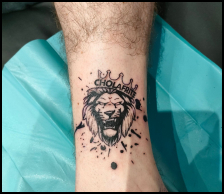 Photo du projet Lion
